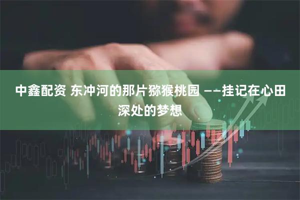 中鑫配资 东冲河的那片猕猴桃园 ——挂记在心田深处的梦想