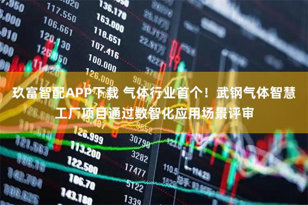 玖富智配APP下载 气体行业首个！武钢气体智慧工厂项目通过数智化应用场景评审