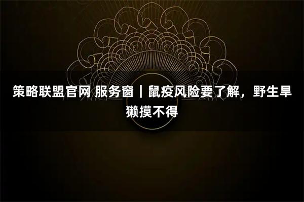 策略联盟官网 服务窗｜鼠疫风险要了解，野生旱獭摸不得